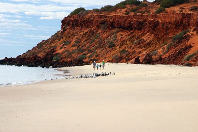 Strolling on the beach in Francois Peron National Park